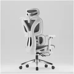 HOMER DESIGN - Silla De Oficina Ergonomica Pata Acero Con Colgador De Ropa Sporte Lumbar H05