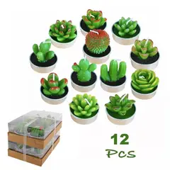 GENERICO - Juego De 12 Velas Cactus Suculentas para Regalos De Navidad
