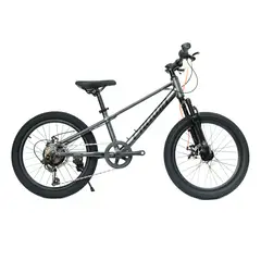 ROYAL BABY - Bicicleta Crown MTB JR 7V 20" Aluminio Gris