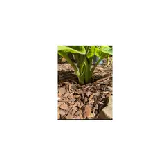 GENERICO - Mulch Rústico Natural Decorativo Para Jardines/ Saco 30 Litros