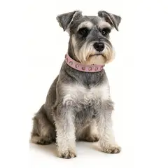 GENERICO - Collar con brillantes para Perro Mediano de Eco Cuero Rosado - M