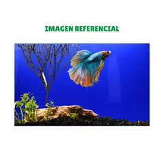 GENERICO - Papel De Fondo Para Acuario 30cm X 1m Azul