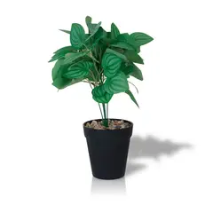 INSPIRACCI - Planta Artificial Peperomia 28x9 cm