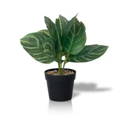 INSPIRACCI - Planta Artificial Calathea 23x9 cm