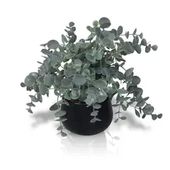 INSPIRACCI - Planta Artificial Dichondra 20x9 cm
