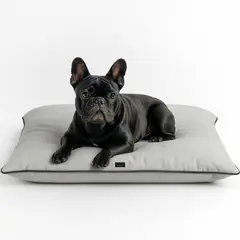 GENERICO - Cama Para Perro Premium 90x70 Gris