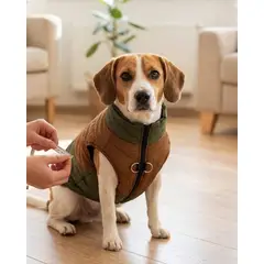 DANK - Chaleco Pet Protection Talla 2XL Mediano