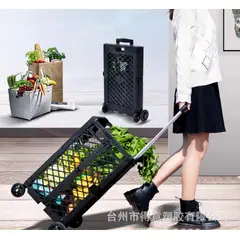 GENERICO - Carrito Plegable Multiuso con Asa Telescópica