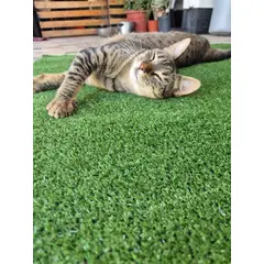 GENERICO - Pasto sintetico 8mm 5mts x 2mts 10m2