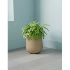 GENERICO - MACETERO BEIGE MODELO MARAGOGI 30CM ALTO