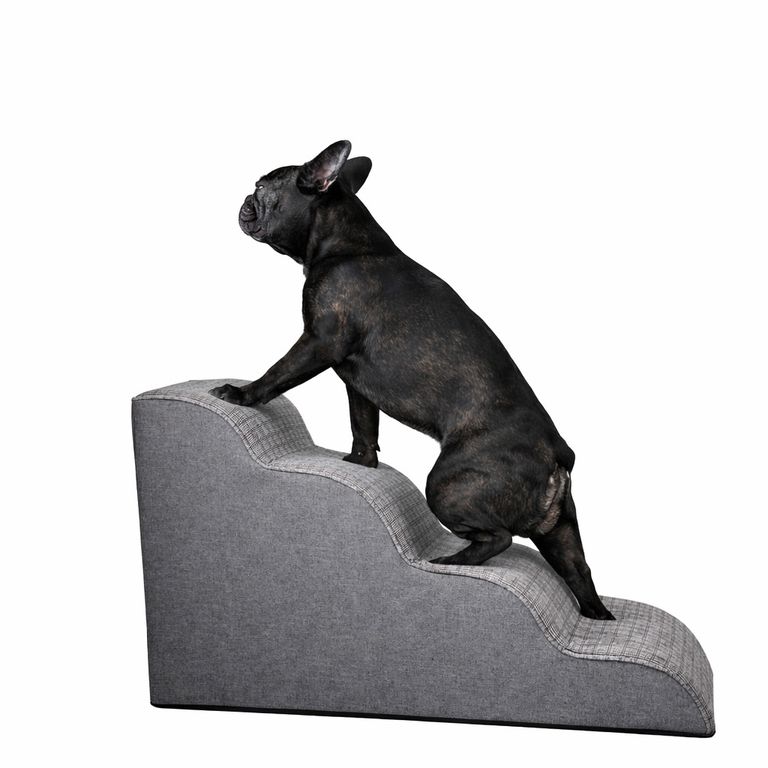 Rampa 4 Escalones Perros Sofá/cama Antideslizante a $62.990