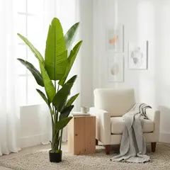 GENERICO - Planta Artificial De Ave Del Paraíso, 160 Cm Alto, 10 Hojas