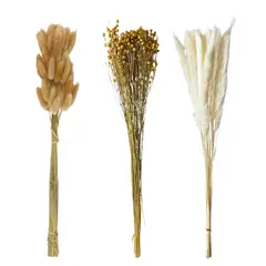 GENERICO - Flores Secas Naturales Boho Set 3 Ramos