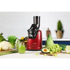 KUVINGS - Extractor de jugo prensado en frío - B1700 Rojo
