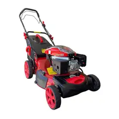 ERUX - Demalezadora Cortacesped a Gasolina motor Lonci 196cc - Profesional / CORTADORA
