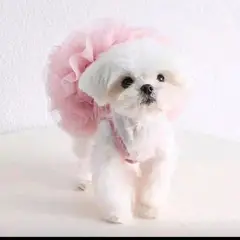 GENERICO - VESTIDO ROSADO CON TUTU PARA MASCOTAS