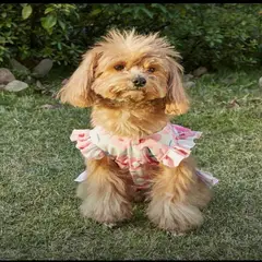 GENERICO - VESTIDO ESTAMPADO DE FLORES ROSADO PARA MASCOTAS