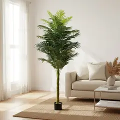 GENERICO - Planta artificial palmera 1.70mt Bighouse