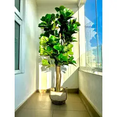 ARBUSTO REAL - Planta Artificial Ficus Lyrata 180 Cm. Premium 232 Hojas Verde