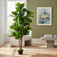 ARBUSTO REAL - Planta Artificial Ficus Lyrata 150 Cm Premium /