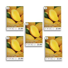 MALIK - 5x Papel Mate A4 130g - 500 Hojas 5760 Dpi Inkjet Pro