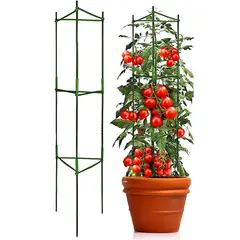 KUANGYE - Soporte Tutor Para Plantas Enredaderas Y Tomate Estacas