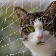 GENERICO - 3x6m Malla De Nylon Para Gatos Duradera Resistente Para Balcón