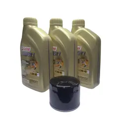CASTROL - Kit Mantencion Bmw F700, F800, F650 K70, 72, 75 F900