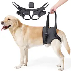 KINDA NICE - Correa De Soporte Para Patas Traseras-perros Mayoresheridos XL