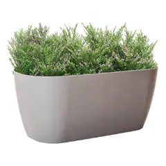 BOSCO - Macetero Macchia 32 Piedra Gris Set x3 Unidades –