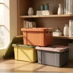 GENERICO - Caja Organizadora Plástica Con Tapa 20ltr. 42x25x30 Cm