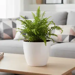 BOSCO - Macetero Umbra 22 Blanco Set x3 Unidades –