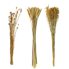 GENERICO - Flores Secas Naturales Boho Set 3 Ramos