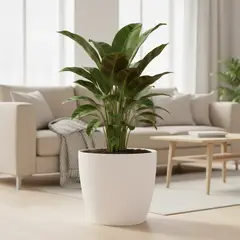 BOSCO - Macetero Vercelli 27 Blanco Set x3 Unidades –