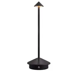 DANWEILE - Luz nocturna ambiental recargable por USB Negro
