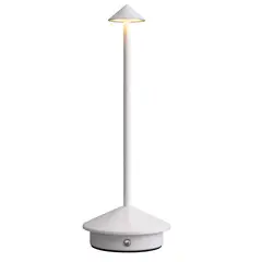 DANWEILE - Luz nocturna ambiental recargable por USB Blanco
