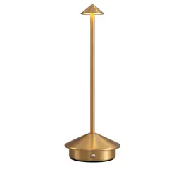 DANWEILE - Luz nocturna ambiental recargable por USB Dorado