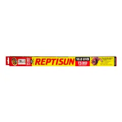 ZOOMED - TUBO T5HO 10.0 DESERTICO REPTISUN 55CM
