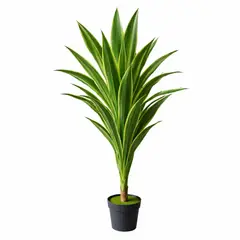 ARBUSTO REAL - Drácaena Artificial Grande 160 cm Planta Decorativa Interior