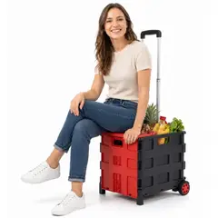 GENERICO - Carro Plegable Multiuso y para compras Con Asiento Y Ruedas 4 En 1