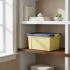 GENERICO - Caja Organizadora Plastica 20 Litros Con Tapa 42x30x25cm