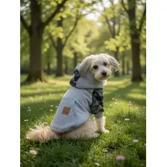 GENERICO - Poleron para Perro y Gato - Hoodie Gris con gorro Talla XL