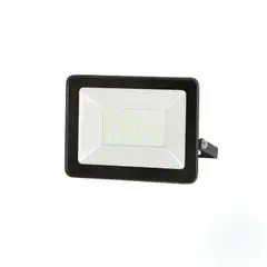 FARETTO - Proyector Polux 30W Luz Fría