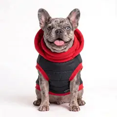GENERICO - PARKA IMPERMEABLE ROJA Y NEGRA RAZAS PEQUEÑAS - XXL