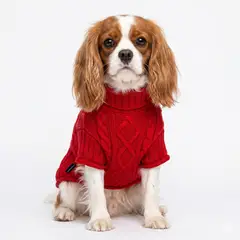 GENERICO - CHALECO ROJO PERROS Y GATOS- M
