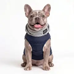 GENERICO - PARKA IMPERMEABLE NEGRA PARA RAZAS PEQUEÑAS - XL