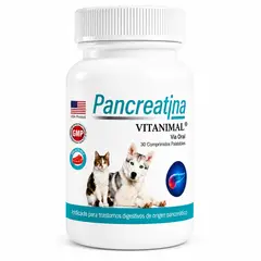 VITAMINA - Pancreatina Enzimas Pancreáticas Para Perro Y Gato 30 Comp