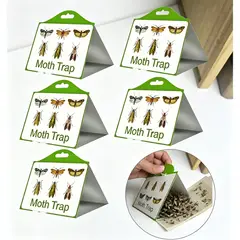 MOONCORE - Trampas Ecológicas para Polillas de Alimentos, Pack de 5, Segura para Mascotas y Niños