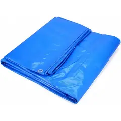 VIDA BUENAS - Carpa Lona Impermeable Multiuso 6 X 4 Metros5493
