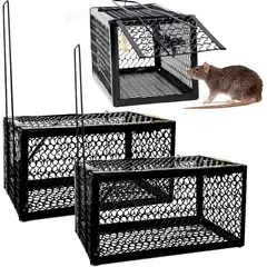 KUANGYE - Trampa Humana para Ratas 2Pcs,Metal,Para Ardillas,Ratones,Ratas,Ratones,Animales Pequeños,Ardillas